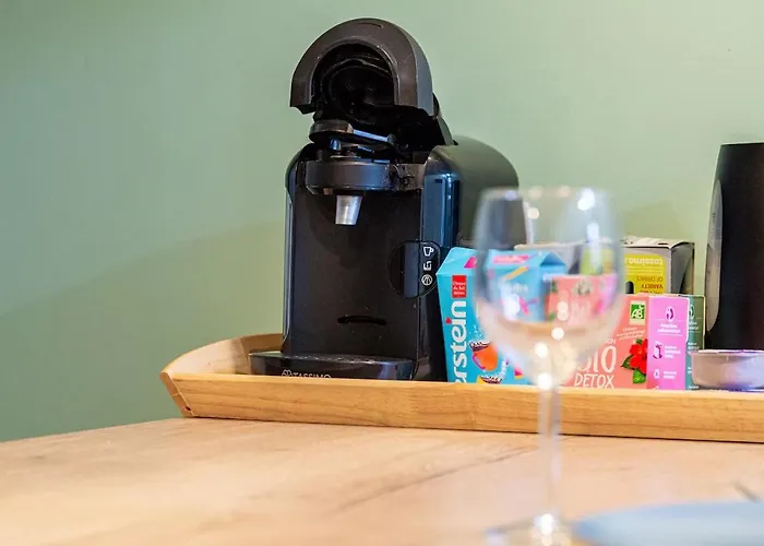 Διαμέρισμα Duplex Proche De La Cite De La Gastronomie Ντιζόν